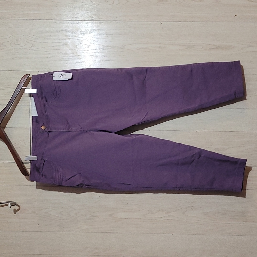 Pants Ankle length, purple, Size 16p, C&B relaxed fit-high rise